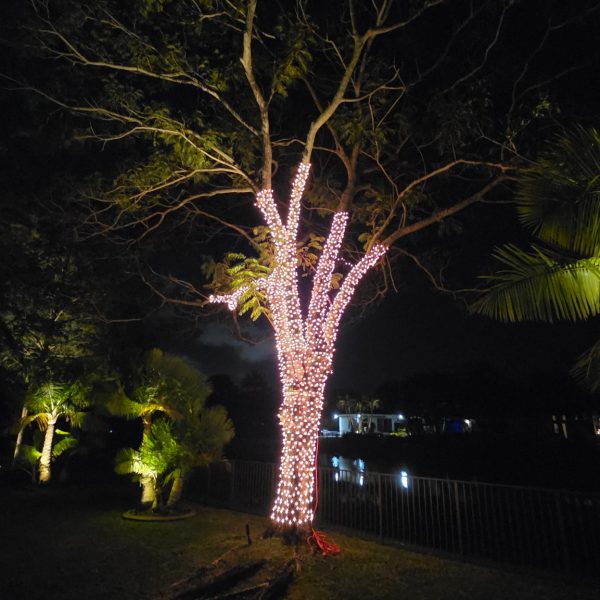 holiday-light-installation-miami-fl-18